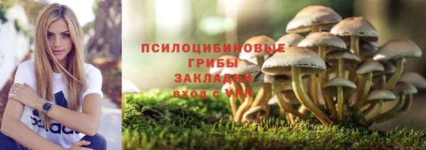 apvp Абдулино