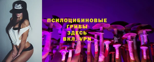 прущие крисы Абаза