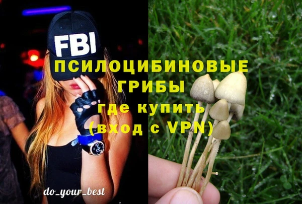 apvp Абдулино