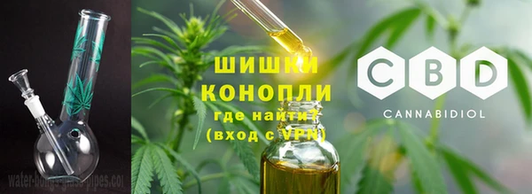 ПСИЛОЦИБИНОВЫЕ ГРИБЫ Алексин