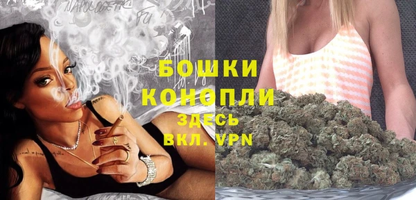 каннабис Покачи