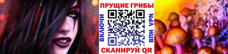 цены наркотик  mega как войти  Галлюциногенные грибы Psilocybe  Заозёрный 